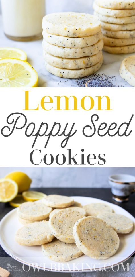 Lemon Poppy Seed Cookies, Slice And Bake Cookies, Poppy Seed Cookies, Lemon Cookies Easy, Easy Slice, Easy No Bake Cookies, Seed Cookies, Icebox Cookies, Scone Recipes