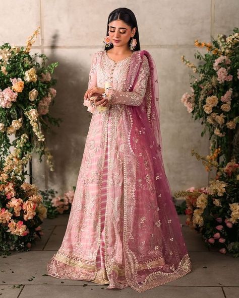 Mushq (@mushqpk) • Instagram photos and videos Semi Formal Wear, Branded Outfits, Lace Accessories, Pakistani Wedding Outfits, Chiffon Collection, Embroidered Chiffon, Boutique Dress Designs, Modest Wear, Pakistani Dress Design