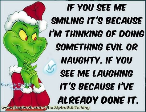 The Grinch Quotes Funny, Grinch Quotes Funny, The Grinch Quotes, Christmas Quotes Grinch, Grinch Memes, Grinch Quotes, Cute Christmas Wallpaper, Sarcastic Quotes Funny, Twisted Humor