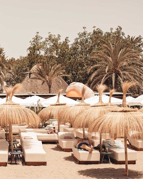 Here are our top recommendations for beach clubs in Marbella in 2023 Marbella Beach Club, Marbella Beach, Marbella Club, 2023 Beach, Puerto Banus, Beach Clubs, Marbella Spain, Andalusia Spain, Northern Spain