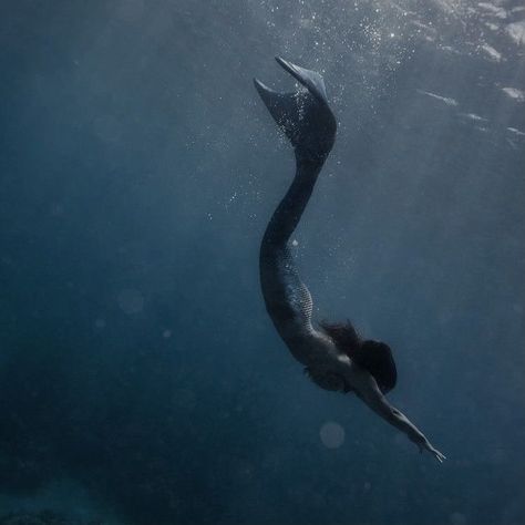 Mermaid Photography, H2o Mermaids, Siren Mermaid, Mako Mermaids, Mermaid Swimming, Real Mermaids, Mermaid Pictures, Mermaid Aesthetic, Mermaid Dreams