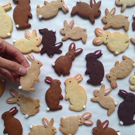 Easter Bunny Cookies, Biscuit Bake, Easter Baking, Bunny Cookies, Dessert Bar, Easter Time, Easter Cookies, Cute Cookies, Newt