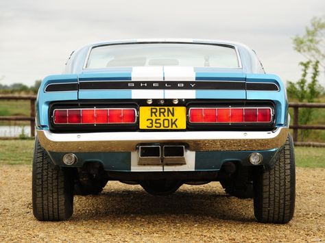 Car From Behind, Hd Photography, Classic Mustang, Dads Favorite, Mustang Shelby, American Muscle Cars, Faith In Humanity, Muscle Car, Video Clips