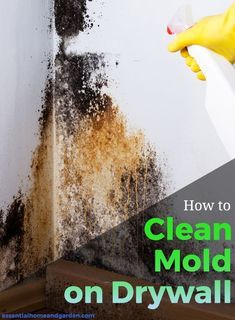 Clean Black Mold, Remove Black Mold, Mold In Bathroom, Painted Bathroom, Cleaning Mold, Mold Removal, Cleaning Painted Walls, Jacksonville Nc, Diy Accent Wall