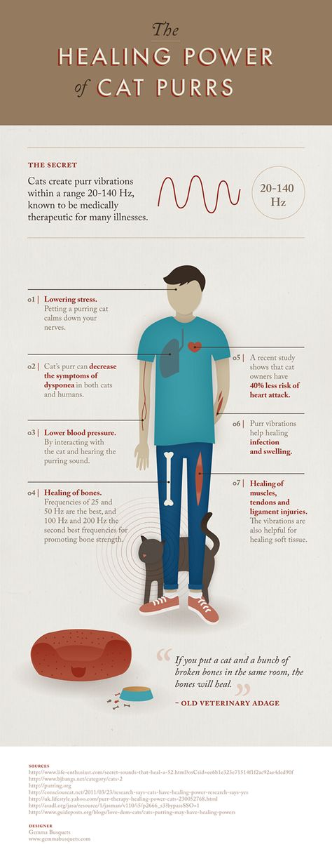 The healing power of cat purrs by Gemma Busquets, via Behance Purring Cat, Koci Humor, Cat Purr, Cat Info, Söt Katt, Haiwan Peliharaan, Cat People, Cat Facts, Healing Power