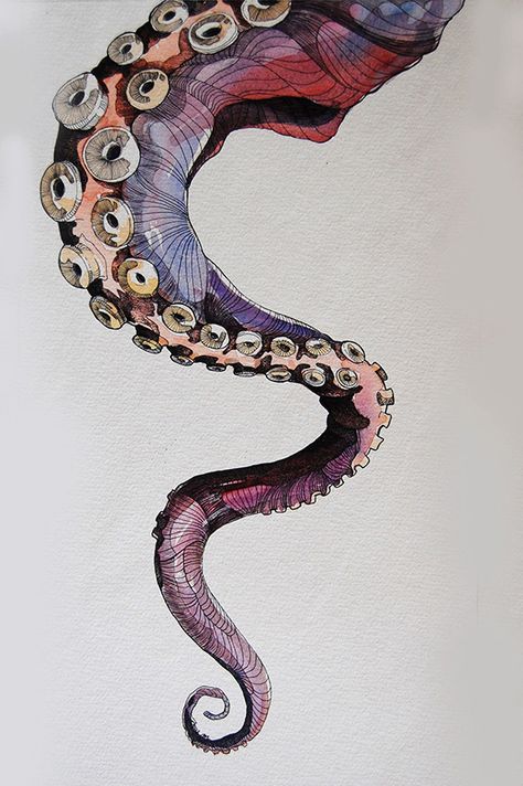 Octopus Drawing, Animals Tattoo, Octopus Tattoo, Octopus Art, Kunst Inspiration, Arte Sketchbook, Art Plastique, Art Sketchbook, Painting Inspiration