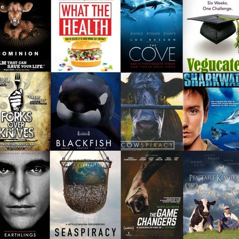 "The capacity to learn is a gift. The ability to learn is a skill. The willingness to learn is a choice." Here are our Top 16 must-see documentaries that will change your life: http://worldofvegan.com/vegan-documentaries/ Vegan Documentaries, Study Planner Printable, How To Become Vegan, Vegan Guide, Life Mission, Netflix Documentaries, Best Documentaries, Plant Based Lifestyle, Military Units