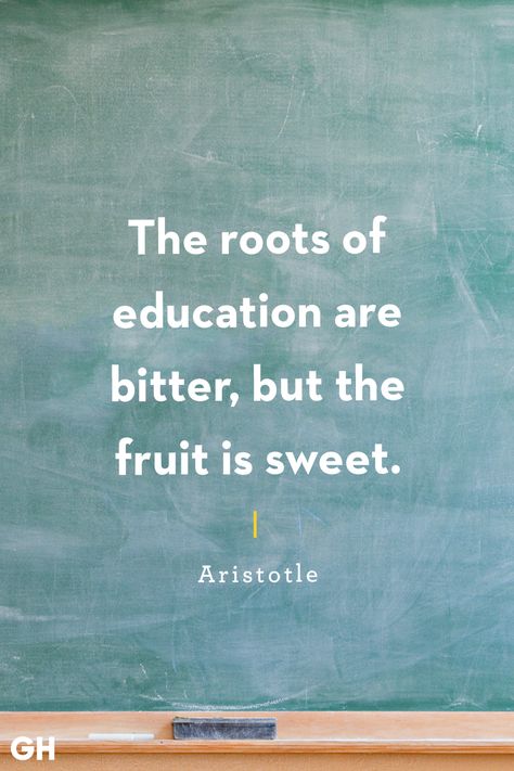 Quotes Aristotle, Thoughts On Education, Back To School Quotes, Education School, Study Quotes, Education Motivation, Education Quotes For Teachers, School Quotes, Learning Quotes