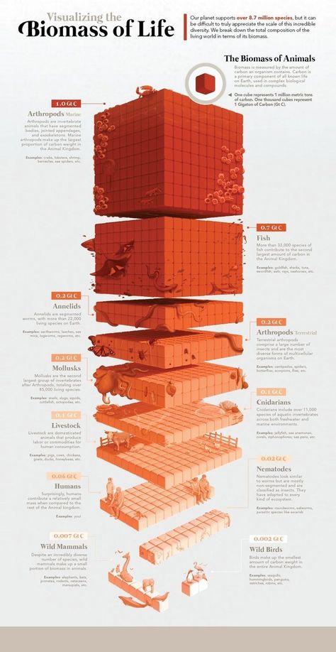 Data Vizualisation Art, Cool Infographics, Aesthetic Infographic Design, 3d Data Visualization, 3d Infographic, Data Vizualisation, Data Visualization Infographic, Illustration Animals, Information Visualization