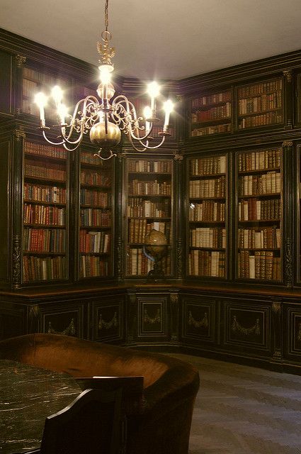 Mystic Manor, Reading Spaces, Georgian Interiors, Dream Library, Library Aesthetic, Reading Nooks, Green Room, Home Libraries, Study Habits