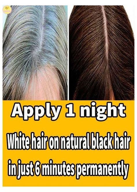 white hair to black permanentlly in 6 minute Grey Hair Natural Remedy, White Hair Solution, Grey Hair Home Remedies, Cover Gray Hair Naturally, Remedy For White Hair, Gray Hair Solutions, Grey Hair Remedies, Grey Hair Dye, Black Hair Dye