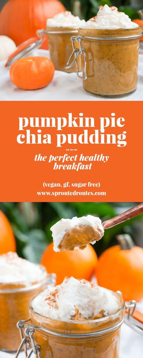 Pumpkin Pie Chia Pudding (Gluten Free, Vegan, Paleo, Refined Sugar Free) | Liz Moody Pumpkin Pie Chia Pudding, Chia Pudding Recipe, Chia Recipe, Perfect Healthy Breakfast, Chia Seed Recipes, Chia Pudding Recipes, Desserts Vegan, Fall Flavors, Pumpkin Pie Filling