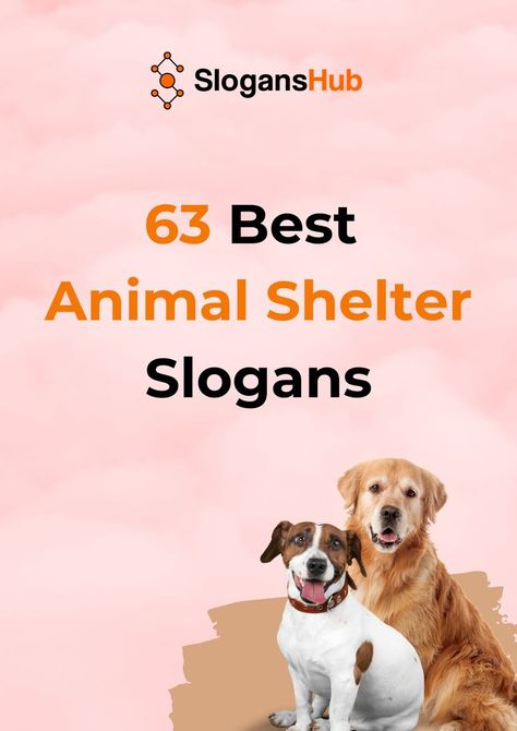 In our previous post about save animal slogans, we presented slogans that can be used in save animal campaigns. In this post, we are going to share with you 63+ best animal shelter slogans being used by existing animal shelters all around the world. #slogans #sloganshub #animalshelterslogans Animal Rescue Shelter, Animal Shelter Shirt Ideas, Animal Donation Poster, Animal Rescue Social Media, Animal Shelter Fundraiser Ideas Events, Shelter Fundraiser Ideas, Animal Shelter Fundraiser Ideas, Animal Shelter Donation Ideas, Save Animals Quotes