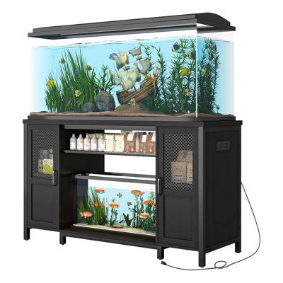 Fish tank ideas