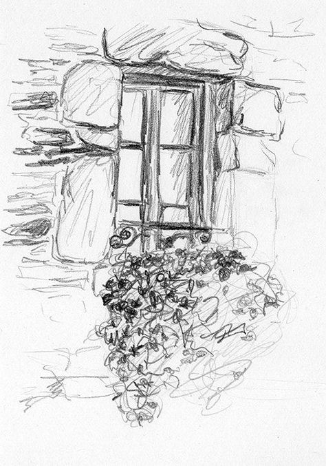 Window drawing with plants as part of the Sketching Project Still Life topic. Window Drawing, Landscaping Garden, Nature Drawing, Arte Sketchbook, Lukisan Cat Air, Arte Inspo, Pencil Art Drawings, Art Drawings Sketches Creative, Art Drawings Sketches Simple