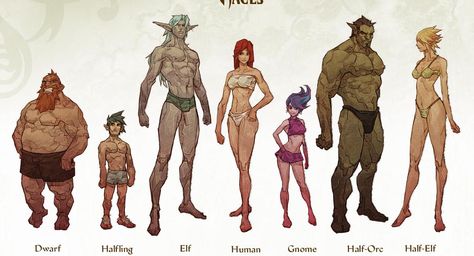 Different race's body proportions Dungeons And Dragons Races, Personaje Fantasy, Dnd Races, Fantasy Races, Dungeons And Dragons Characters, Dnd Art, D&d Dungeons And Dragons, Arte Fantasy, Creature Concept