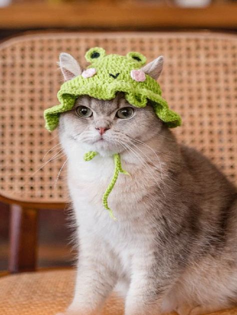 1pc Frog Design Knitted Pet Hat | SHEIN UK Kitten Costumes, Christmas Party Costume, Crochet Cat Hat, Chat Crochet, Frog Hat, Chat Kawaii, Canvas Hat, Crochet Frog, Knitted Cat