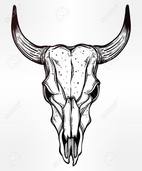 Longhorn Skull Art, Brahman Bull, Tattoo Crane, Buffalo Tattoo, Bull Skull Tattoos, Bison Skull, Navajo Art, Bull Tattoos, Buffalo Skull