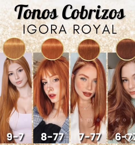 Light Red Gold Hair, Igora Hair Color Formulas, Cobrizo Hair, Types Of Red Hair, Ginger Brunette Hair, Intense Copper Blonde, Summer Copper Hair, Igora Hair Color, Light Ginger