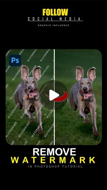 Graphic Designer on Instagram: "How to Remove Watermarks from any Image in Adobe Photoshop Image used in this video (Unsplash) . . . . Follow for more tutorial @GraphicInfluence01 . . Hashtag . . #photoshopskills #photoshoptips #photoshopart #photoshop2022 #photoshop #photoshop2023 #photoshop2024 #photoshopartist #photoshopedit #madewithphotoshop #digitalart #creative #photographymmetry #tipsandtricks #graphicdesign #graphics" Photoshop Tutorial Graphics, Photoshop Video Tutorials, Remove Watermark, Adobe Design, Adobe Photoshop Tutorial, Photoshop Video, Ipad Tutorials, Effect Photoshop, Photoshop Images