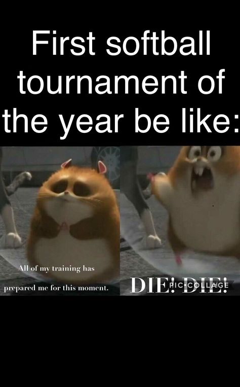 Softball Memes Funny, Softball Jokes, Funny Softball Quotes, Softball Memes, Softball Things, Sports Quotes Softball, Sports Joke, Softball Funny, Softball Problems