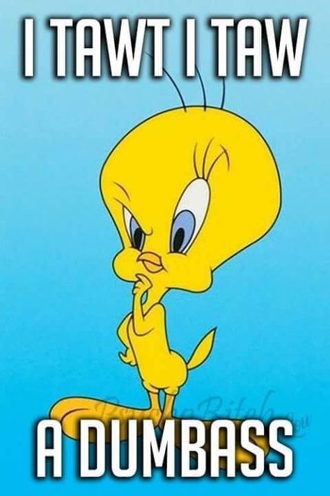 Looney Tunes Funny, Tweety Bird Quotes, Funny Day Quotes, Response Memes, Bird Quotes, Funny Cartoon Pictures, Funny Cartoons Jokes, Funny Quotes Sarcasm, Tweety Bird