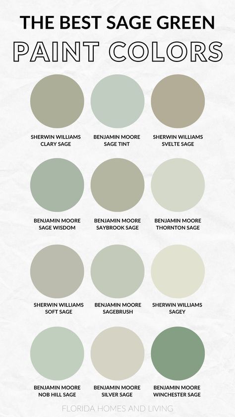 Sage Green Statement Wall, Off White Green Paint, Sage Bathroom Ideas Paint, Sage Green Chair Rail, Dried Sage Paint Color, Sage Green Walk In Closet, Sherwin Williams Mint Green Paint Colors, Cool Sage Green Paint, French Country Green Paint