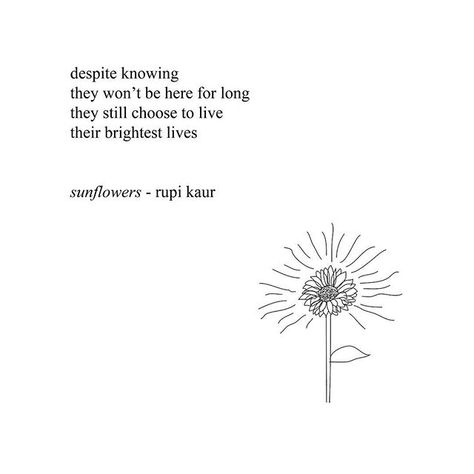 Rupi Kaur Quotes, Quotes Poem, Insta Quotes, Frida Art, Rupi Kaur, Wallpapers Quotes, Thanksgiving Quotes, Quotes Aesthetic, Trendy Quotes