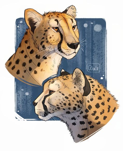 🌸 M A Y A 🌸 on Instagram: “Cheetah practice! ✏ . 🎨 Studying from: creatureartteacher.com #cheetah #digitalart #bigcats” Cheetah Fanart, Cheetah Drawing, Cheetah Art, Animal Studies, Posca Marker, Kitty Art, Big Cats Art, Animal Funny, Animal Study