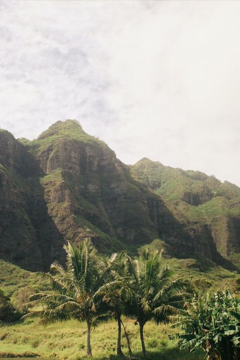 Hawaii Aesthetic Landscape, Hawaii Film Aesthetic, Hawaii Landscape Photography, Old Hawaii Aesthetic, Hawaii Aethstetic, Retro Hawaii Aesthetic, Hawaii Film Photography, Hawaii On Film, Hawaii Mood Board