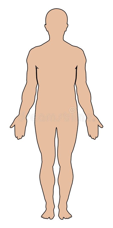 Body Frame Drawing, Human Body Silhouette, Human Body Outline, Human Outline, Outline Pictures, Human Vector, Preschool Fine Motor Activities, Body Human, Body Outline