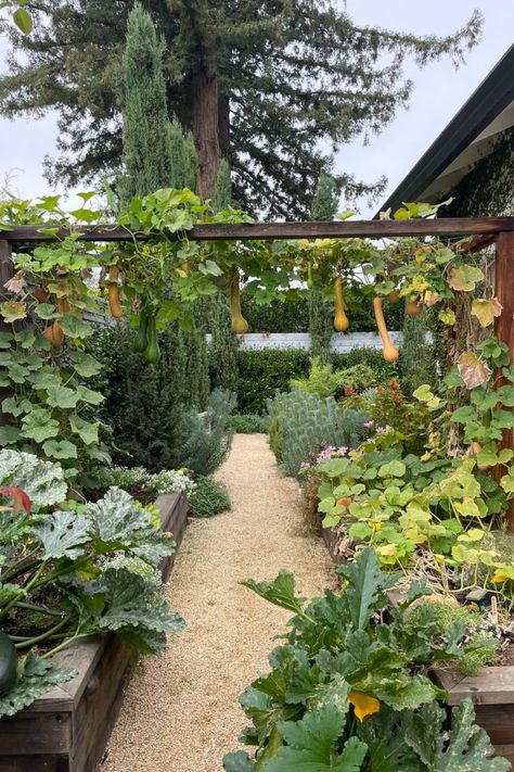 backyard vegetable garden arbor Beds Wood, Edible Landscape, Winter Veggies, Backyard Farm, Victory Garden, Potager Garden, Desain Lanskap, Garden Arbor, Veg Garden