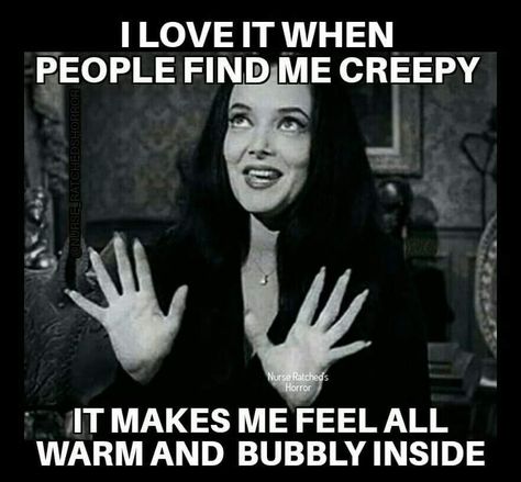 Addams Family Quotes, Gothic Items, Goth Memes, Creepy Horror, Funny Horror, Pinterest Memes, Passive Aggressive, Mia 3, Save For Later