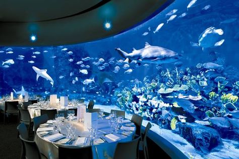 Aquarium Wedding Venues Aquarium Wedding Reception, Melbourne Aquarium, Venue Birthday, Underwater Wedding, Aquarium Wedding, Sea Wedding, Ocean Wedding, Water Wedding, Melbourne Wedding