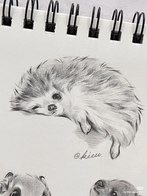 Animal Surrealism Art, Pencil Sketch Of Animals, Sketches Pencil Animals, Headchog Drawing, Hedgehog Drawing Realistic, Cool Animal Sketches, How To Sketch A Horse, Cute Fox Sketch, Animal Sketches Realistic Pencil Art