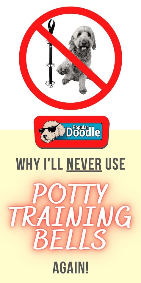 While they sound good in theory, many pet parents like myself quickly discover that potty training bells for dogs aren’t as great of a concept in reality.  My frustration boils down to six main issues.  I’m guessing that if you’ve tried using puppy potty training bells before, you’ll be all too familiar with these…  #dogtraining #puppytraining #pottytrainingpuppy #puppytraining Diy Potty Bells For Dogs, Dog Bells For Door Potty Training Diy, Potty Bell For Dogs, Potty Training Puppy With Bell, Bell Training Puppy Tips, Dog Bells For Door Potty Training, Bell Training Puppy, Maltipoo Training, Potty Training Puppies