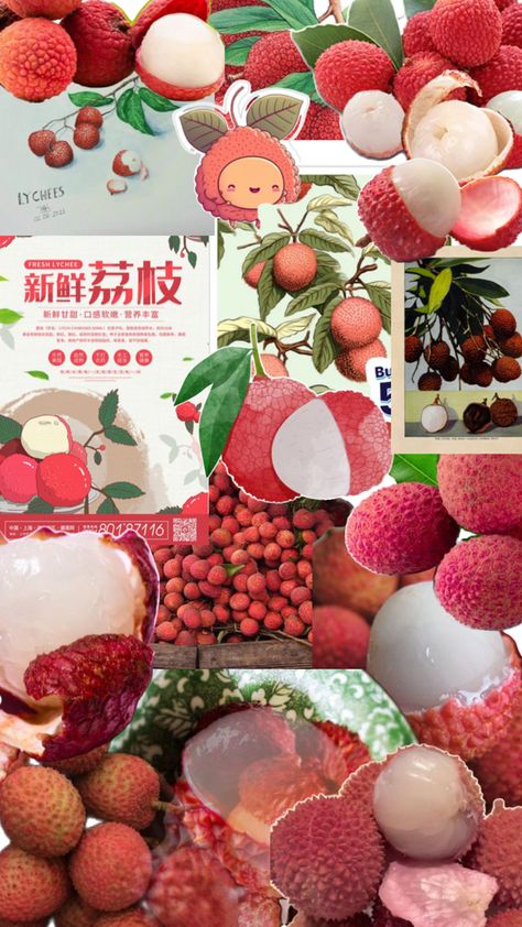 #collage #aesthetic #fruit #lychee #exoticfruit #exotic #yummy #yum #delish #AsianFruit Lychee Aesthetic, Fruit Collage, Aesthetic Fruit, Lychee Fruit, Sketch Book, Fruit, Collage