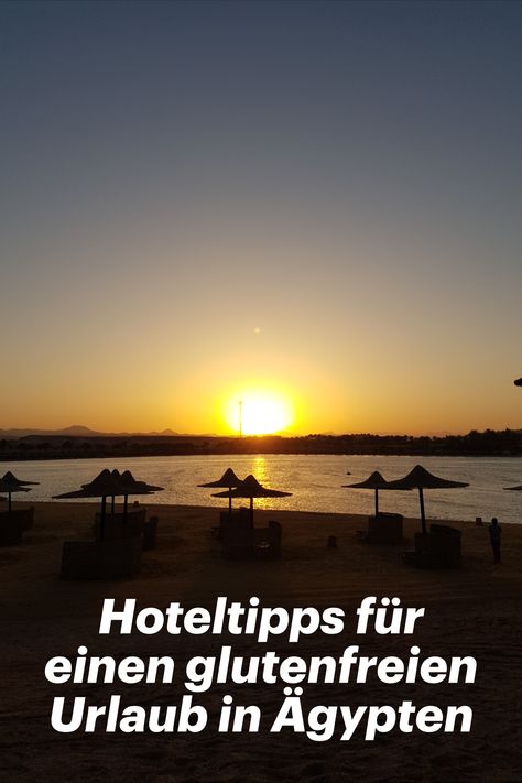 Ihr sucht nach Hoteltipps für einen glutenfreien Urlaub in Ägypten? Hier sind sie. Glutenfreier Urlaub in Marsa Alam am Roten Meer. #glutenfreireisen #glutenfreierurlaub #ägyptenglutenfrei #marsaalamglutenfrei #hotelsglutenfrei #reisenmitzöliakie #zöliakie #ägypten #marsaalam #glutenfreiertauchurlaub #schnorcheln #tauchen #urlaubamstrand #corayabay #hoteljazlamaya #hoteljazlamayaglutenfrei #gorgoniabeach #braykaresort #glutenfreiägypten Marsa Alam, Celestial Bodies, Hotel