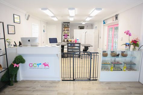 Salon Services - Groomington Coat Factory Dog Grooming Salon Entrance, Grooming Dogs Salon, Dog Groomer Salon Ideas, Pet Grooming Salon Ideas, Pet Grooming Salon Ideas Design, Grooming Salon Ideas Design, Petshop Design, Groomer Salon, Grooming Salon Ideas