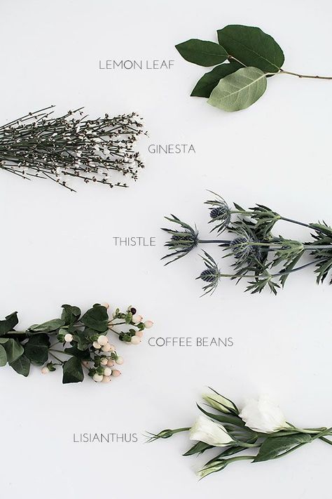 3 Easy Ways to Wrap Flowers - Homey Oh My! Ways To Wrap Flowers, Tropical Flatlay, Floral Fillers, Bouquet Fillers, Filler Greenery, Floral Flatlay, Flowers Types, Green Inspo, Wrap Flowers