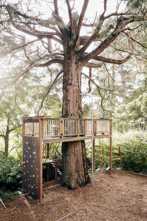 Diy Playground Ideas, Cat Tree Plans, Cat Playground Outdoor, Happy Ideas, Tree Fort, Diy Cat Tree, Playground Ideas, Tree Plan, Diy Playground