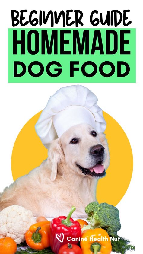 Beginner Guide to Homemade dog food. Dog in chef hat in front of vegetables. Benefits Of Homemade Dog Food, How To Make Dog Food Recipes, Feeding Dogs Human Food, Home Cook Dog Food, Homemade Dog Food Recipes For Large Dogs Crockpot, Homemade Food Topper For Dogs, Dog Diet Food Recipes, Complete Nutrition Homemade Dog Food, Vet Recommended Homemade Dog Food