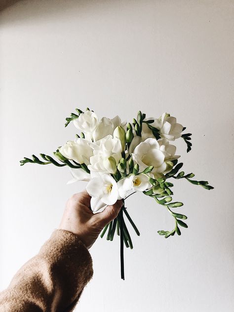 Petite Wedding Bouquets, Bride With Small Bouquet, Tiny Bouquet Wedding, Single Bloom Bouquet, Mini Bouquet Bride, Mini Bride Bouquet, Fresia Bouquet Wedding, Tiny Wedding Bouquet, Tiny Bridal Bouquet