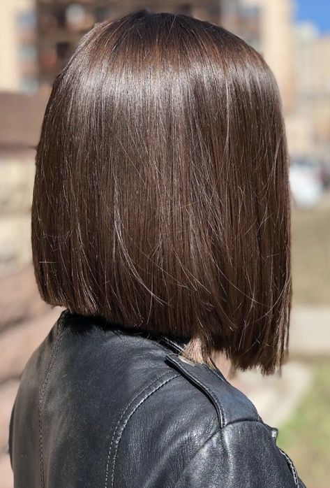 Semi Bob Haircut, Medium Brown Bob Haircut, Bob Hairstyles Brunette Straight, Brown Bob Haircut Straight, Brunette Short Straight Hair, Straight Brunette Bob, Short One Length Haircut, Black To Chocolate Brown Hair, Bluntcut Bob Brunette