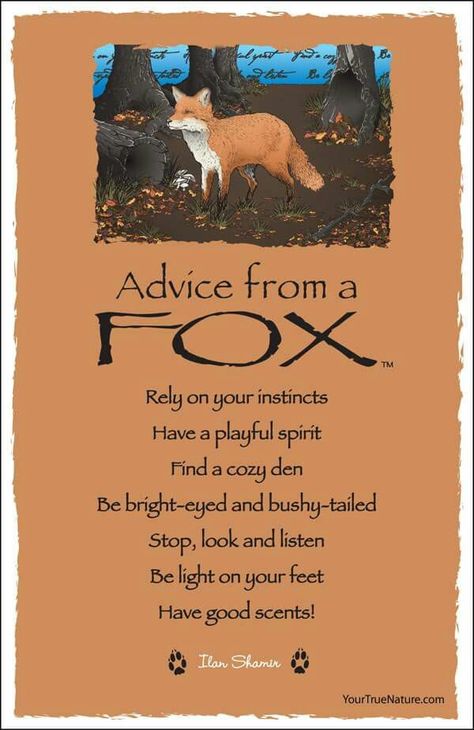 Funny Sayings And Quotes, Good Scents, Fox Quotes, Spirit Animal Totem, Cozy Den, Animal Spirit Guides, Animal Medicine, Sayings And Quotes, Advice Quotes