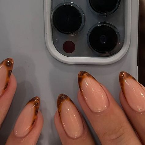 GOLDEN BEAUTY on Instagram: "Tortoiseshell love 🤎  #tortoiseshellnails #acrylic" Nail Art Oval Shape, Tortoise Tip Almond Nails, Tortoise Nails Design French, Fall Nail Designs Tortoise, Cute Turkey Nails, Pink And Tortoise Shell Nails, Turtle Shell French Tip Nails, Tortishell Nails Design Almond, Tortice Shell Nails