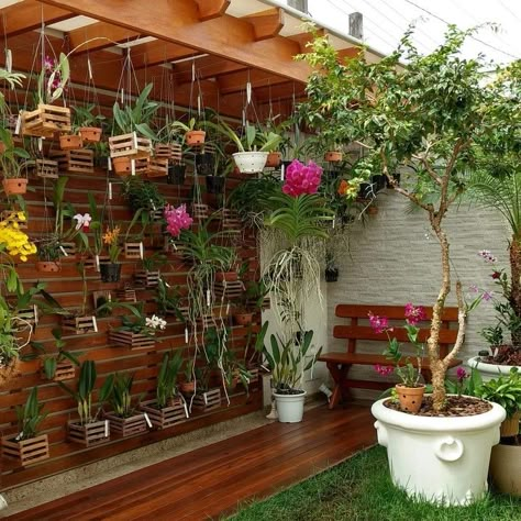 Balcony Garden Decor Ideas, Vertical Vegetable Gardens, Orchid House, Vertical Wall Planters, Vegetable Planters, Beautiful Home Gardens, Orchids Garden, Garden Decor Ideas, Home Garden Decor