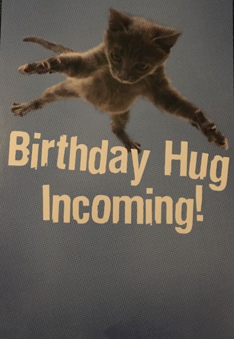 Funny Birthday Greetings, Birthday Wishes Pics, Happy Birthday Cat, Birthday Hug, Funny Happy Birthday Wishes, Birthday Greetings Funny, Birthday Greetings Friend, Happy Birthday Greetings Friends, Happy Birthday Quotes Funny