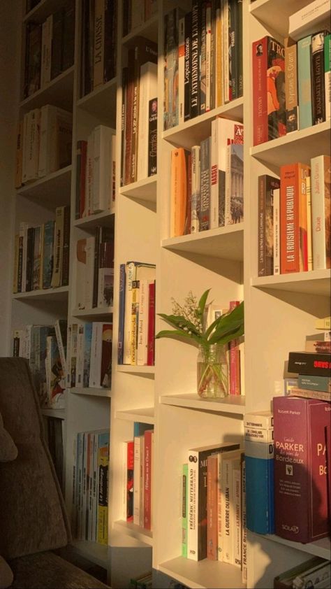 Lots Of Books, Dream Library, Library Aesthetic, Dream Apartment, Home Library, 영감을 주는 캐릭터, Book Shelf, Dream Rooms, I Love Books