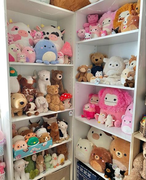 Squishmallow Storage Aesthetic, Displaying Plushies, Plushie Collection Display, Stuffed Animal Display Ideas, Squishmallow Decor, Plushie Storage, Squishmallow Room, Plush Display, Kids Hangout Room